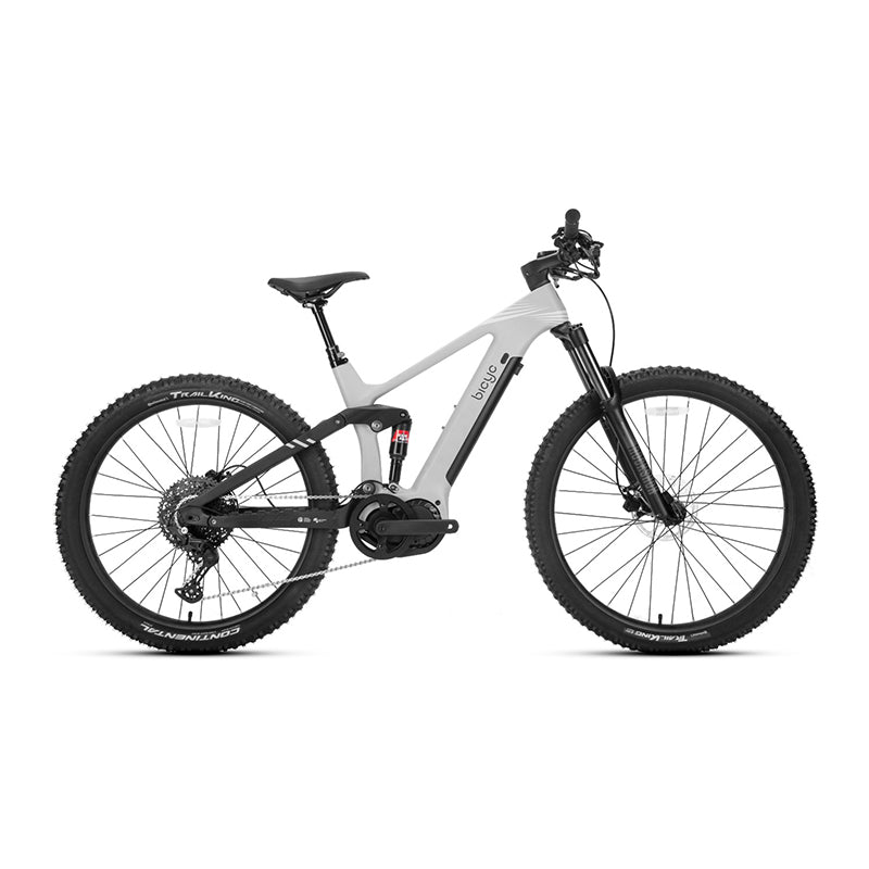 BICYC CROSS.AM E-Bike